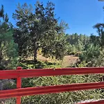 Calme Et Paisible Maison Au Milieu De La Foret Arx